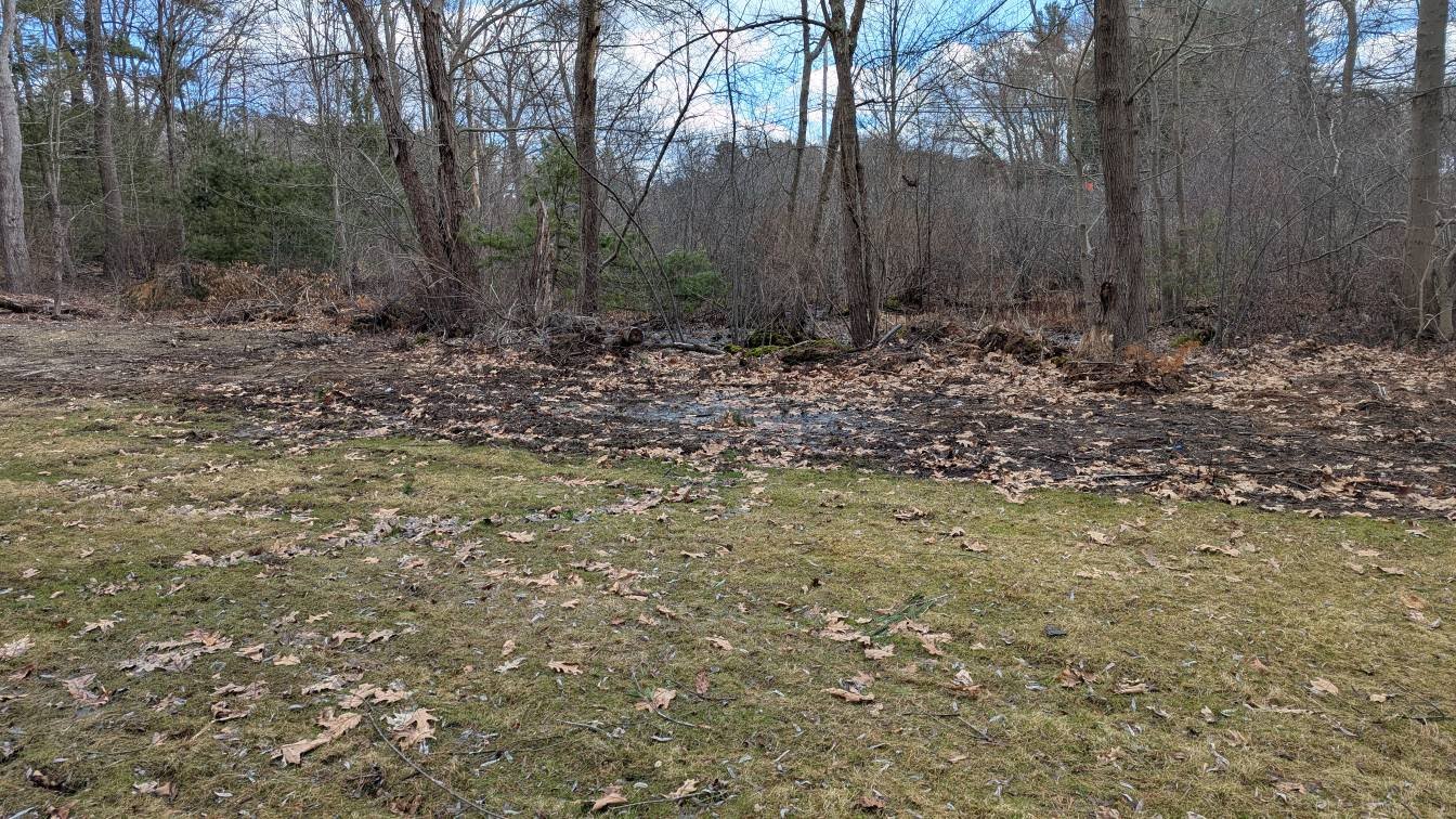 Wooded property clearing and grading work