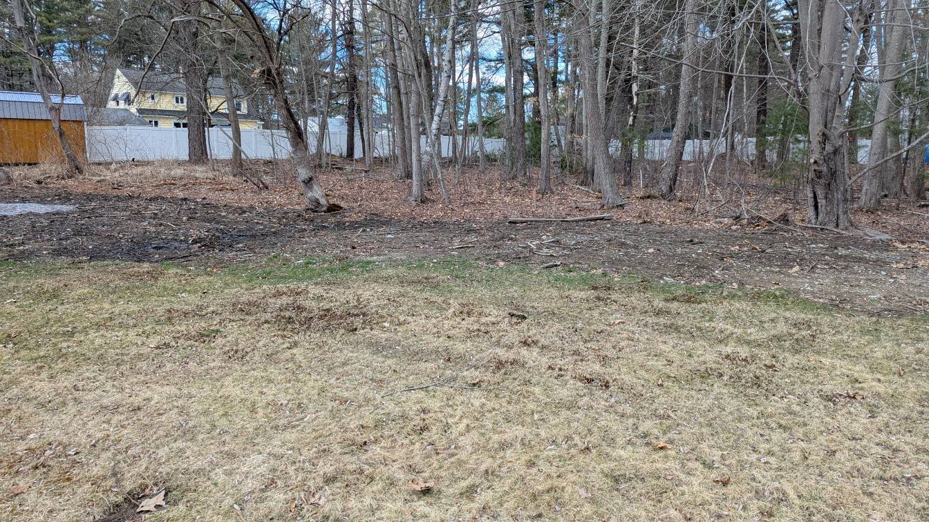 Cleared wooded area with residential properties visible
