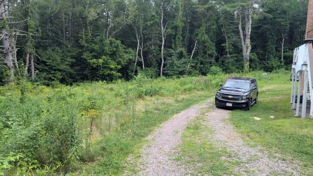 Land clearing and brush removal