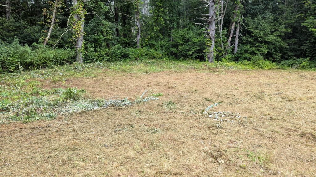 Completed property cleanup project